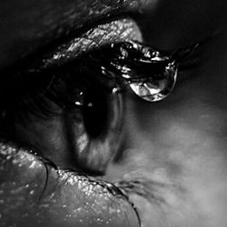 Close-up of object on wall