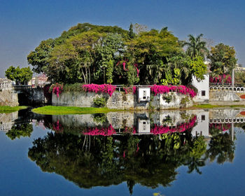 Reflection of trees in lake