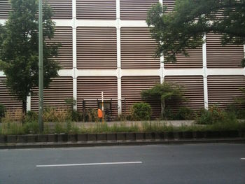 Trees in city