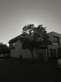 Silhouette of tree by house against clear sky