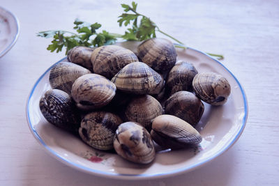 High angle view of shells in plate on table