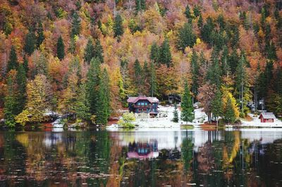 Autumn alps forest of pines and cozy house reflected in beautiful italian lake, laghi di fusine.