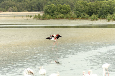 People in lake