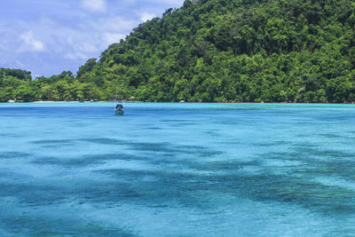 The water is clear until seeing the coral reef. at surin islands national park, phang nga, thailand