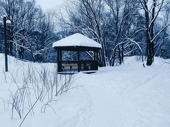 snow