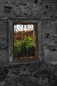 Close-up of window of abandoned house
