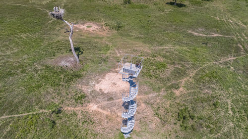 High angle view of trees on field