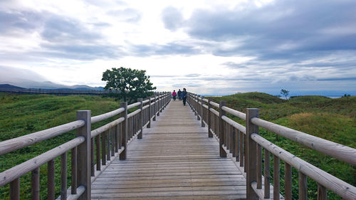 Wooden footbridge amidst plants against sky