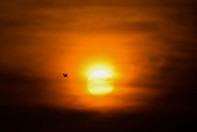 Silhouette bird flying in sky during sunset