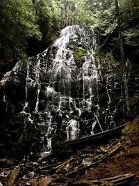 Scenic view of waterfall in forest