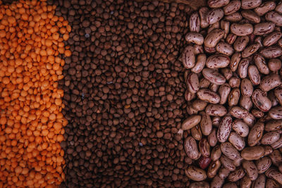 Full frame shot of coffee beans