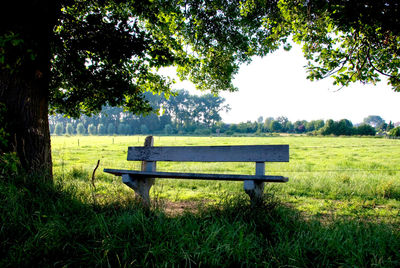 Empty bench on field by trees in park