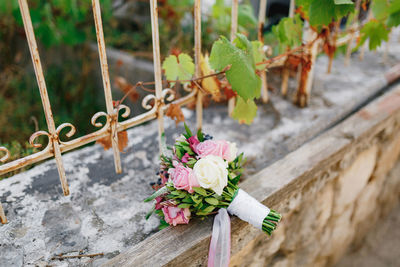 Close-up of rose plant by fence