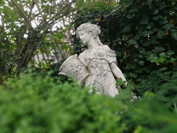 Low angle view of statue against trees