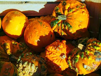 Close-up of orange leaves