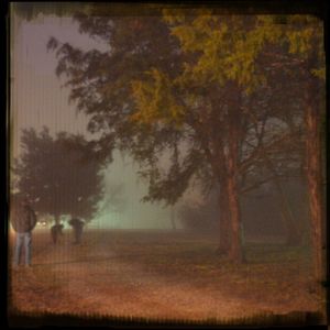 Trees on field