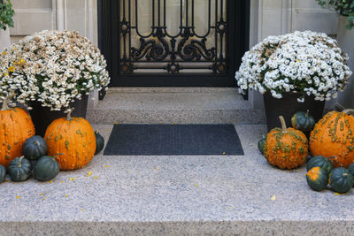 Colorful pumpkins and flowers on the stairs of an old brownstone home in new york city during autumn