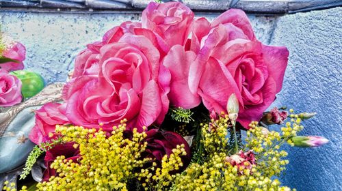 Close-up of pink flowers