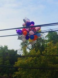 Low angle view of trees against blue sky