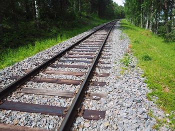 Railroad track amidst trees