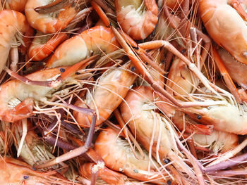 Full frame shot of shrimps for sale at market