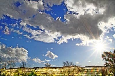 Scenic view of landscape against sky during sunset