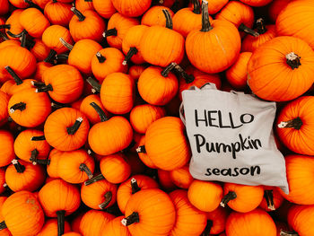 High angle view of pumpkins for sale at market stall