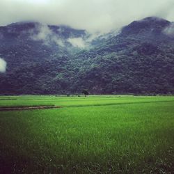 Scenic view of landscape against cloudy sky