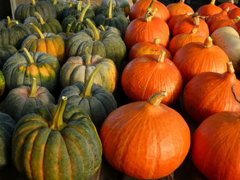 High angle view of pumpkins for sale at market stall