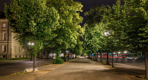 Street amidst trees in city at night