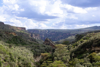 environment