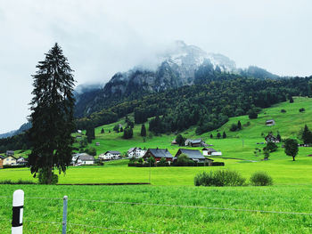 Scenic view of field against sky