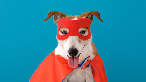 Dog super hero costume