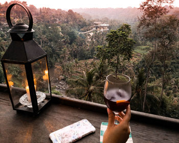 Nice view of the jungle while holding glass of wine