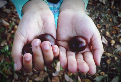 Close-up of child hands holding seeds on land