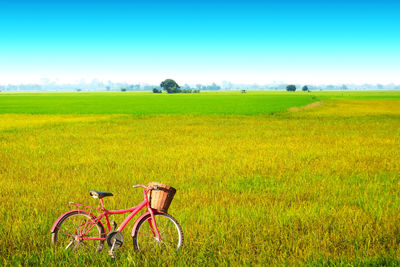 Bicycle parked in field