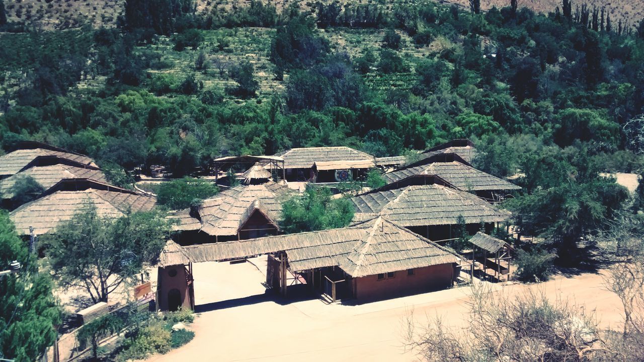 Elqui Valley Tour