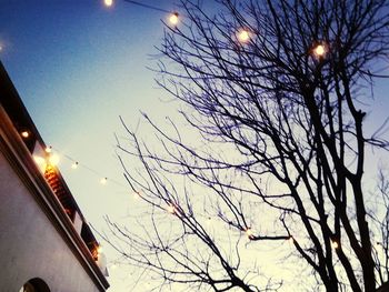 Low angle view of bare tree against sky at dusk