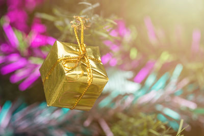 Close-up of christmas tree