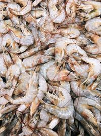 Full frame shot of fish for sale in market