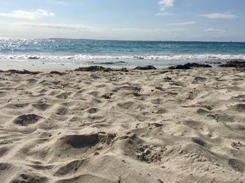 Scenic view of beach against sky