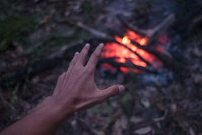 Cropped image of hand over campfire