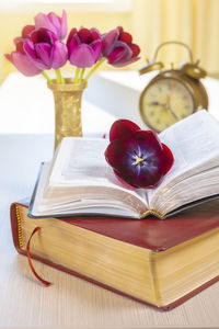 Close-up of tulips in vase on books at table