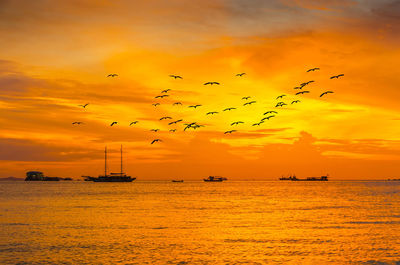 Silhouette birds flying over sea against orange sky