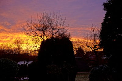 Silhouette of trees at sunset