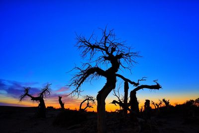 Silhouette bare trees on landscape at sunset