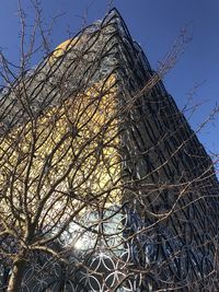 Low angle view of bare tree against building