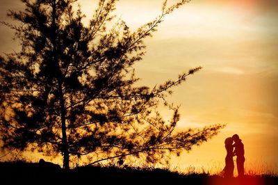 Silhouette of trees at sunset