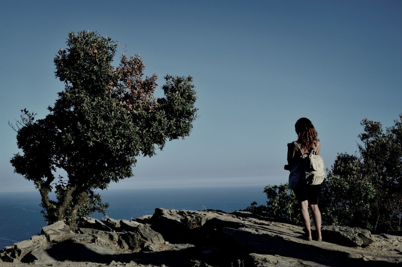 lifestyles, leisure activity, water, tree, clear sky, rock - object, standing, full length, sky, tranquility, nature, tranquil scene, scenics, copy space, beauty in nature, men, casual clothing, rear view