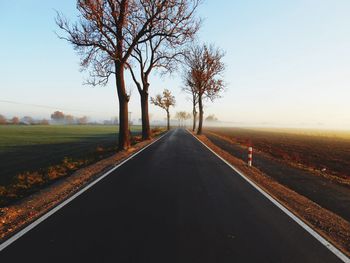 Empty road along trees